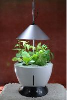 Sell intelligent flowerpot