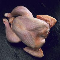 Sell Halal Chicken