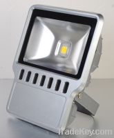 LED Flood Light