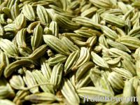 Sell Fennel Seeds