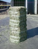 3 Grass and alfalfa and animal feed