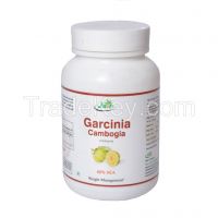 Garcinia Cambogia 60 Veg Caps 500mg (60% HCA)