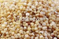 Sell Sorghum Grain Meal