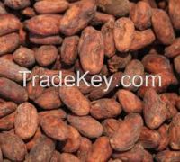 Cocoa Beans