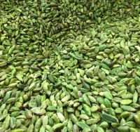 Grade A Quality Whole Green Cardamom