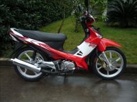 Motorcycle ZF110-7(IV)