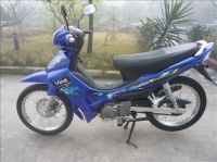 Motorcycle ZF110-8 (IV)