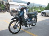 Motorcycle ZF110 (X)
