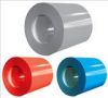 Sell  pre coated steel coils/sheets