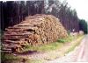 Southern Yellow Pine Logs