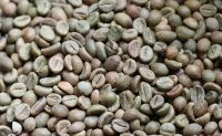 Robusta Coffee Green Beans