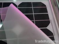 solar EVA film