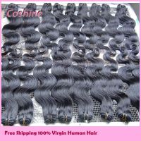 Top Hair grade 6A virgin human hair weave, Factory wholesale loose wave tangle free brazilian hair weave