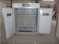 Sell  incubator for chicken