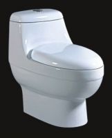 Sell Toilet develop special for Iran market