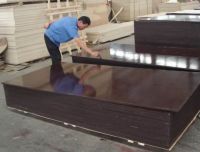 waterprooof construction plywood