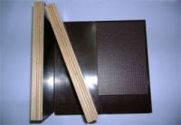 Plywood for construction use