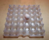 Sell Plastic Egg Tray for 30 eggs