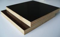 Sell film faced plywood1