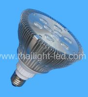 LED Par Light (PAR30 Lamp)