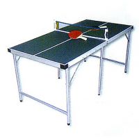 Table Tennis Table   W843