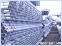 Sell galvanized steel tubes