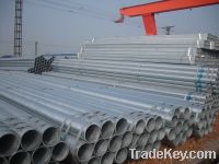 Sell  Zinc-coated steel pipes/tubes
