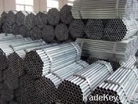 Sell gi scaffolding pipes & tubes