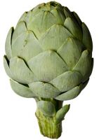 Sell fresh Artichoke