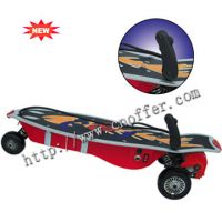 Sell RC Skateboad with 120W power