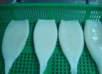 Sell frozen squid tubes