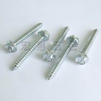 Hex washer slotted head self tapping screw