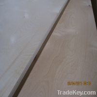White Birch Plywood