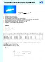 Sell Electronic Ballast for T2 Fluorescent Lamp(Slim Type)