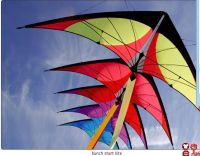 Sell stunt kite2