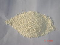 Sell Dried Garlic Powder