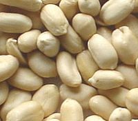 blanched peanut kernels