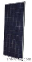 poly 290W solar panels