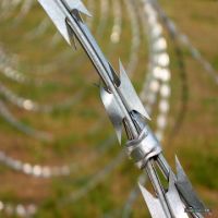 Sell razor barbed wire