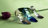 Wedding Crystal Shoe, fashion crystal shoe, elegent crystal shoes