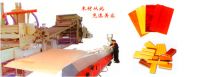Sell PVC Lacquer-free Board Production Line