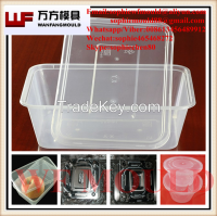 lunch box mould/Sell plastic injection thin wall food container mould/plastic lunch Box Mold making