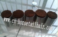 Sell horse body hair
