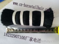 Sell double drawn black dyed horse hair for brush