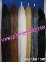 Sell horse tail hair extension for horse show