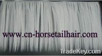 Sell Horse Tail/Mane Hair Weft And Strip