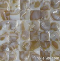 Sell Shell  Mosaics 6