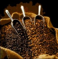 Sell Coffee Beans - Gourmet