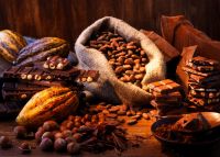 Sell Cocoa beans from Cameroon