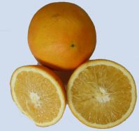 Sell navel orange